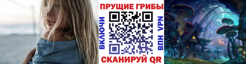 Псилоцибиновые грибы GOLDEN TEACHER  даркнет как зайти  Куса 
